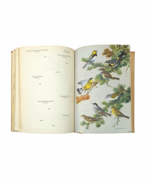 1951 Birds Of Newfoundland Hard Cover Book