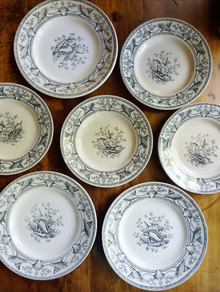 Nantasket Clovelly Transferware Seashell Plates