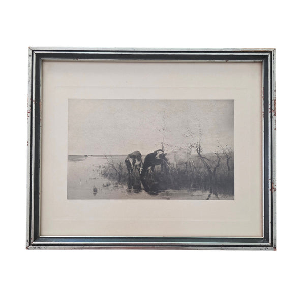 Antique Dutch Lithograph Of Cows By The Waters Edge