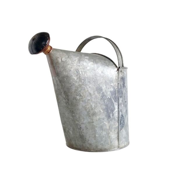 Antique Galvanized Watering Can