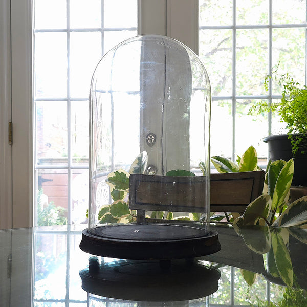 Antique Victorian Bell Jar With Original Wood Base