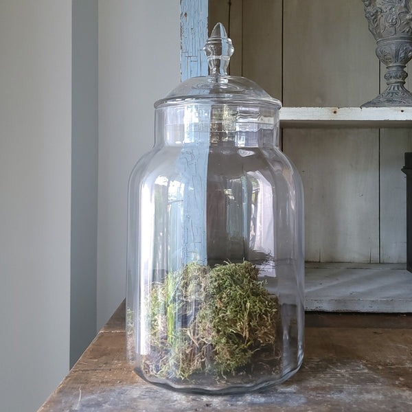 Tall Faceted Glass Apothecary Jar