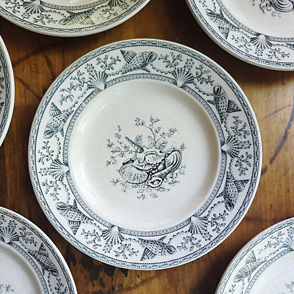 Nantasket Clovelly Transferware Seashell Plates