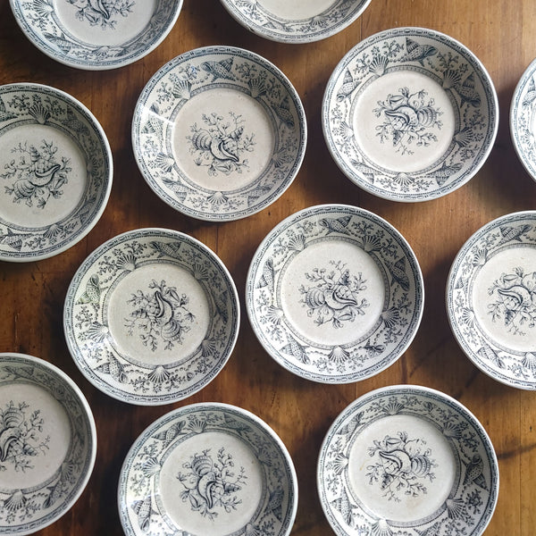 Antique Transferware Seashell 'Nantasket Clovelly' Bowls & Butter Pats