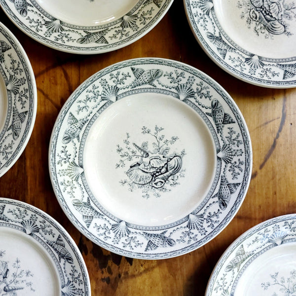 Nantasket Clovelly Transferware Seashell Plates