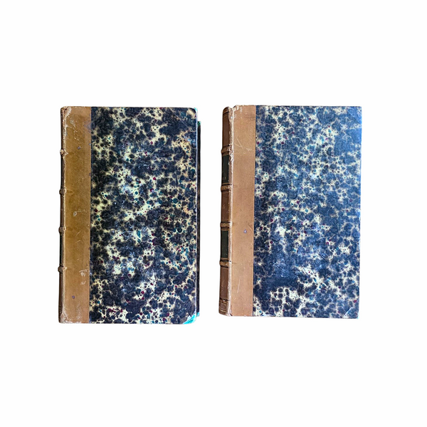 Pair Of Antique French Books