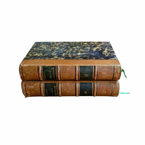 Pair Of Antique French Books