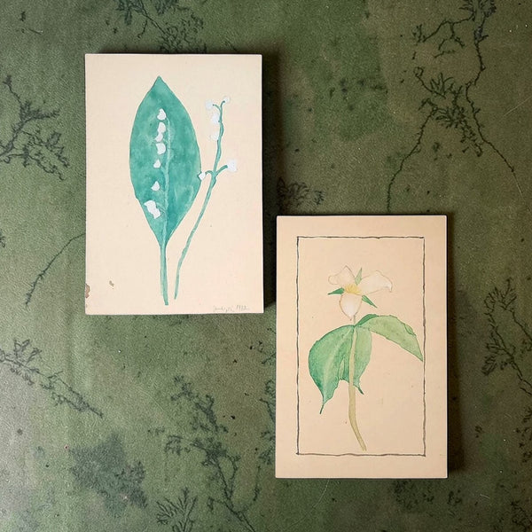 Botanical Watercolours Lily Of The Valley & A Trillium