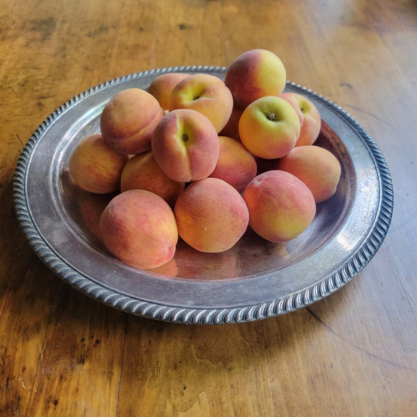 Silver Serving Bowl