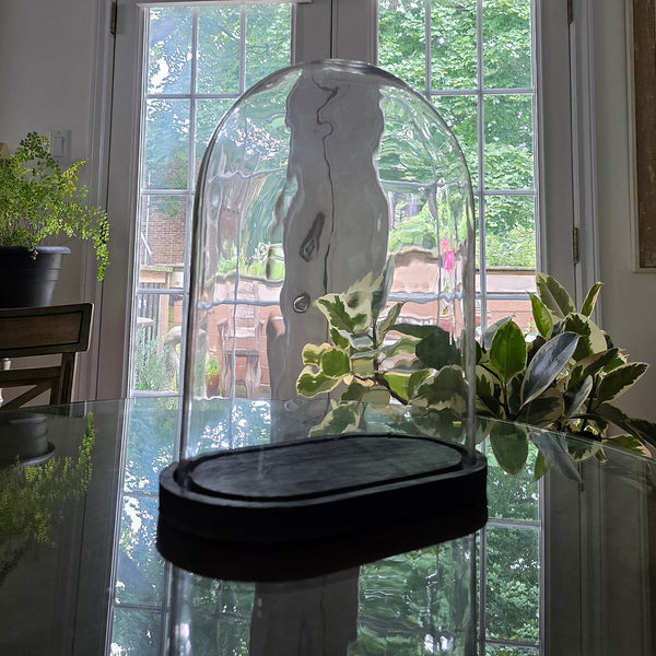 Antique Bell Jar