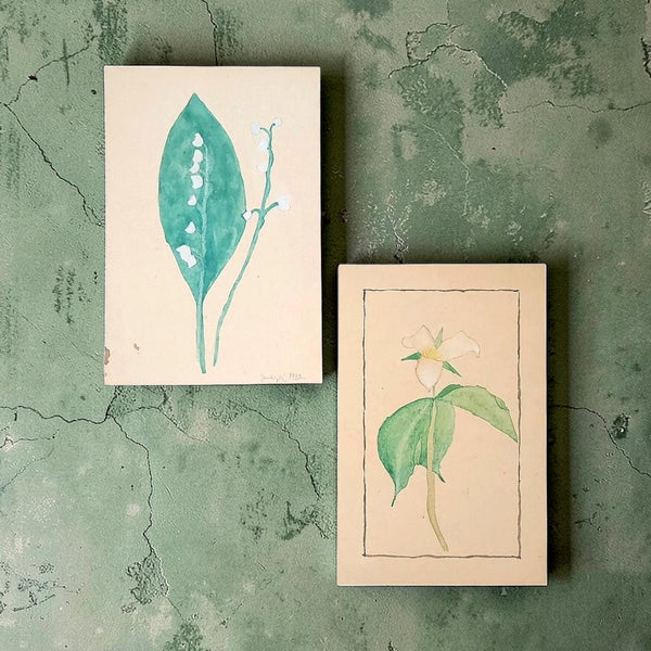 Botanical Watercolours Lily Of The Valley & A Trillium