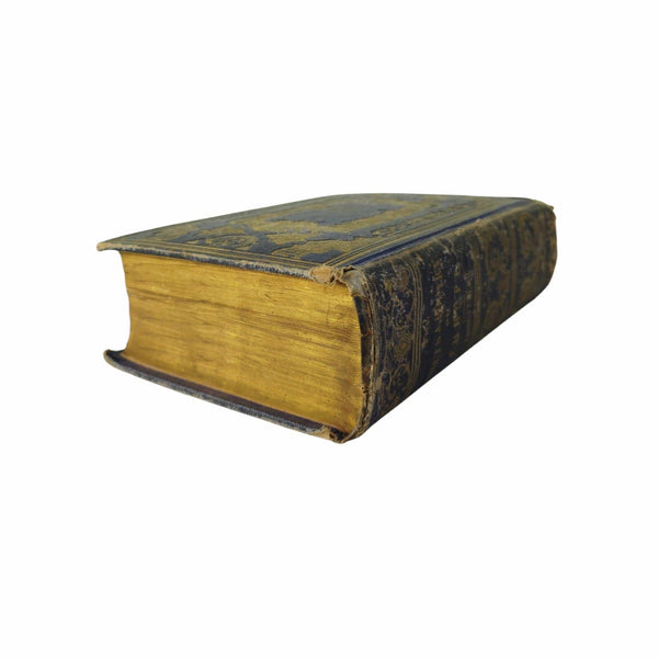 Antique Poetry Book 'The Poets & Poetry Of Europe' Longfellow