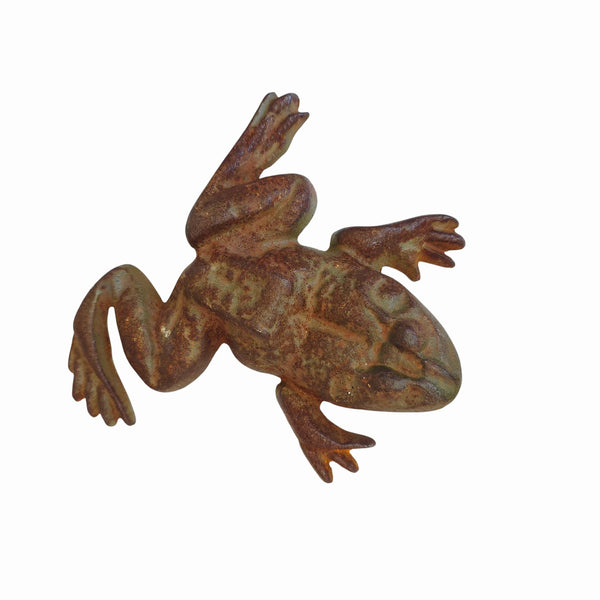 Charming Cast Iron Garden Frog
