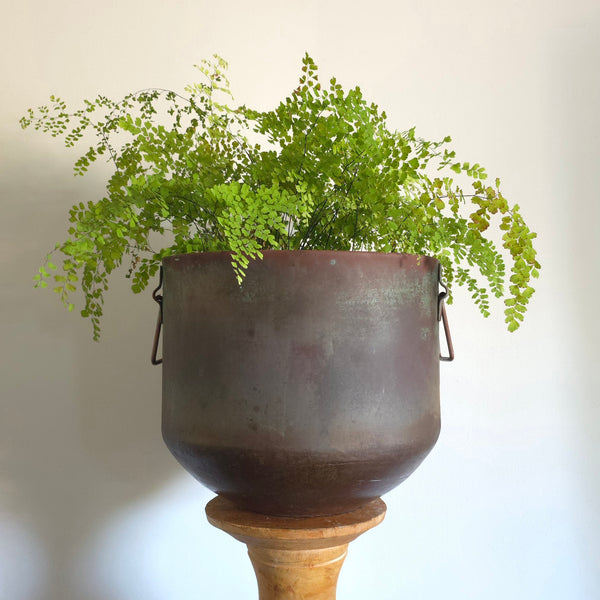 Beautiful Copper Double Handled Pot