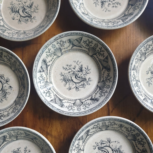 Antique Transferware Seashell 'Nantasket Clovelly' Bowls & Butter Pats