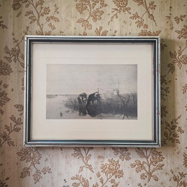 Antique Dutch Lithograph Of Cows By The Waters Edge