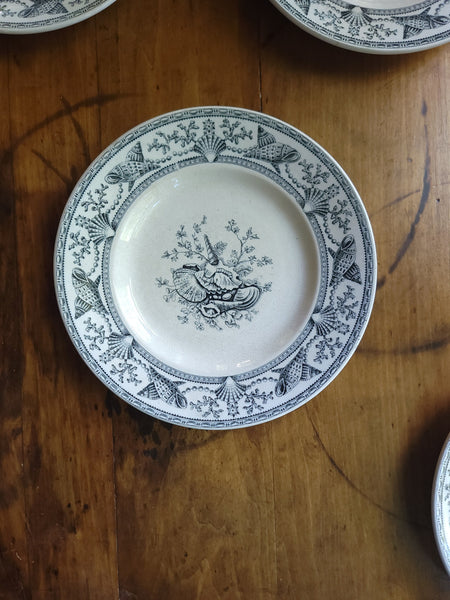 Nantasket Clovelly Transferware Seashell Plates