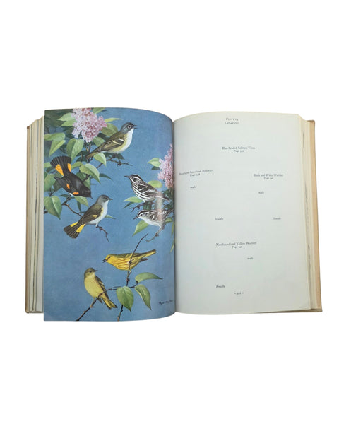 1951 Birds Of Newfoundland Hard Cover Book