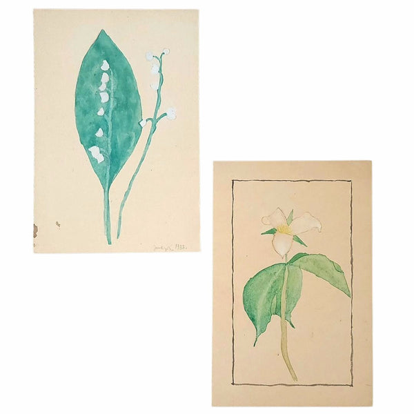 Botanical Watercolours Lily Of The Valley & A Trillium