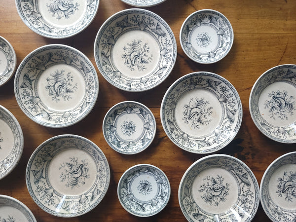 Antique Transferware Seashell 'Nantasket Clovelly' Bowls & Butter Pats