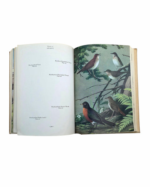 1951 Birds Of Newfoundland Hard Cover Book