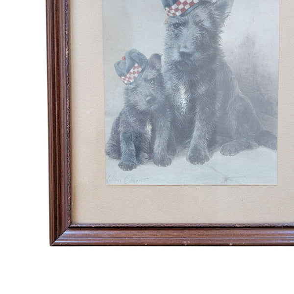 Antique Print Of Two Scottish Scottie Dogs