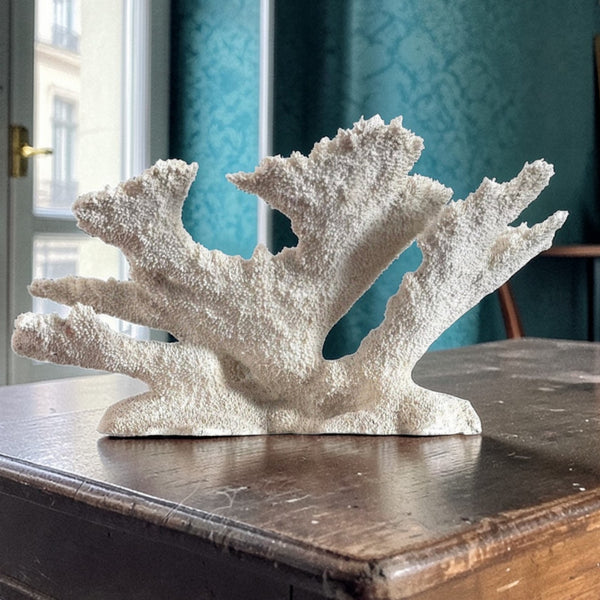 Exceptional Large Old Coral Speciman