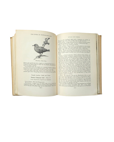 1951 Birds Of Newfoundland Hard Cover Book