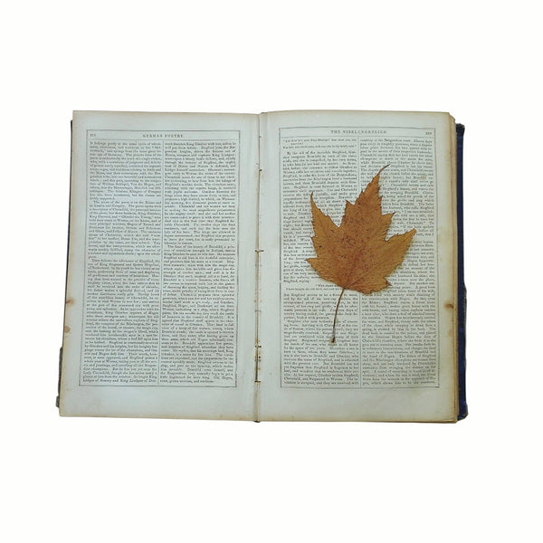 Antique Poetry Book 'The Poets & Poetry Of Europe' Longfellow