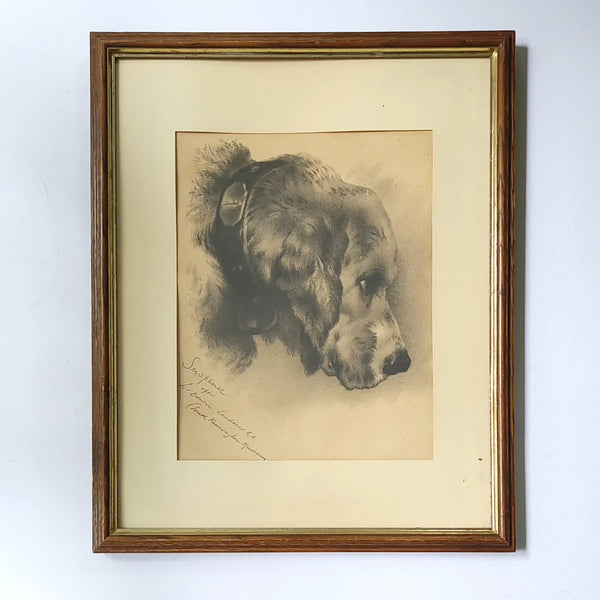 Charcoal On Paper Mastiff After Landseer