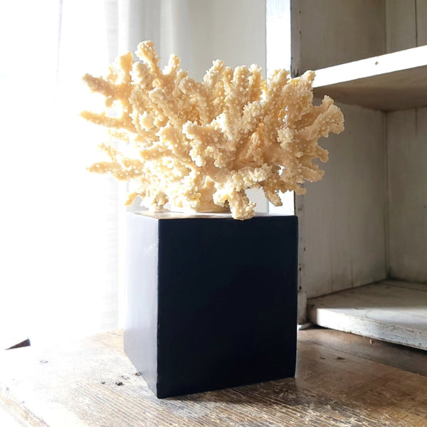 Decorative Faux Coral On Black Base