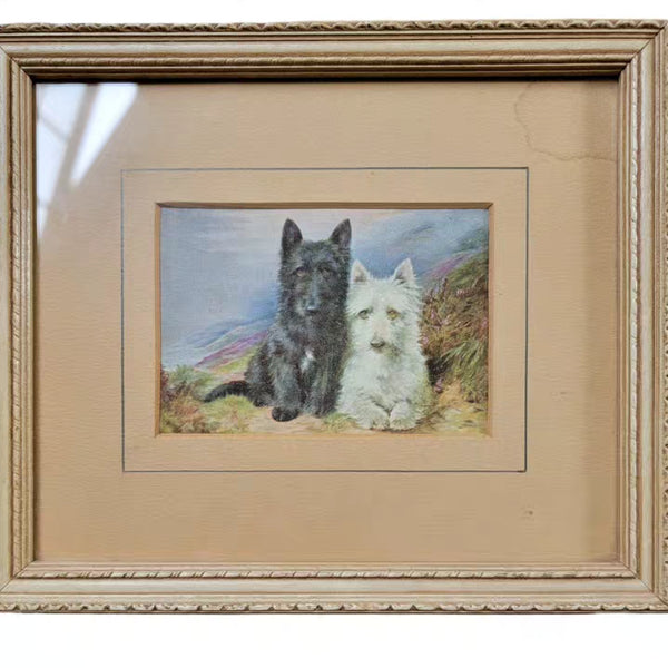 Antique Print Of Scottie & Westie Dog