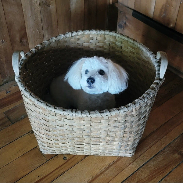 Antique Apple Basket With Bentwood Handles