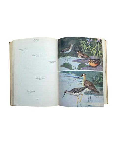1951 Birds Of Newfoundland Hard Cover Book