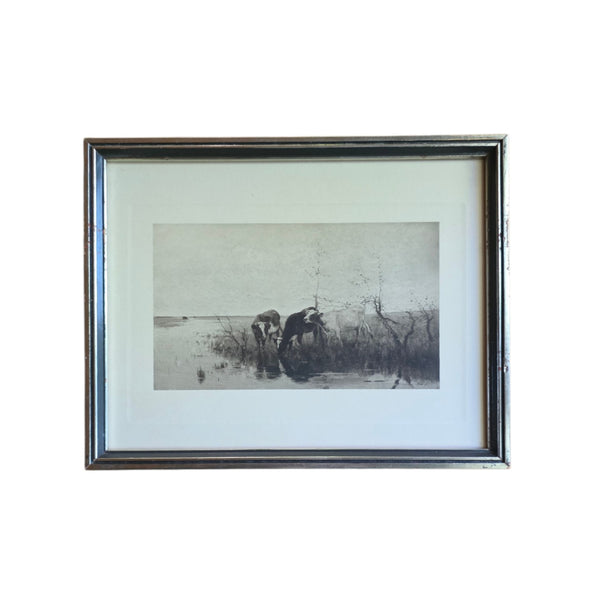 Antique Dutch Lithograph Of Cows By The Waters Edge