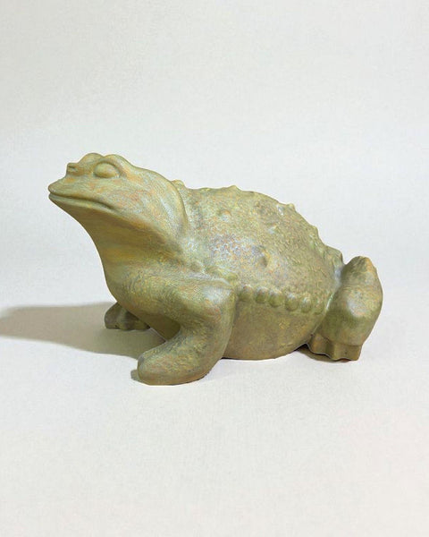 Charismatic Pottery Toad