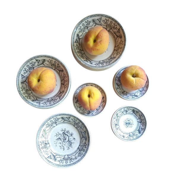 Antique Transferware Seashell 'Nantasket Clovelly' Bowls & Butter Pats