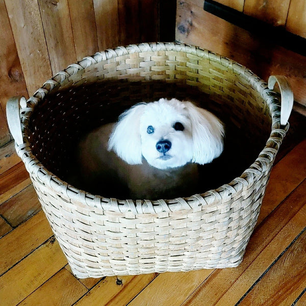 Antique Apple Basket With Bentwood Handles