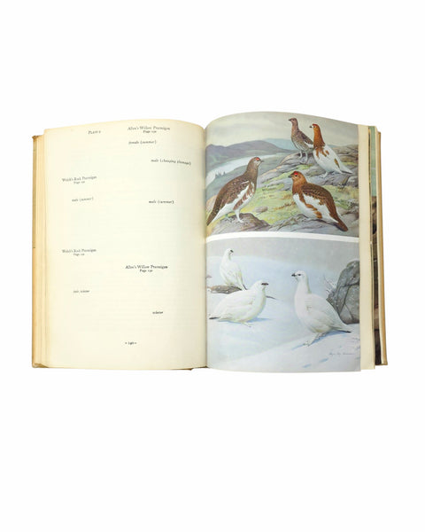 1951 Birds Of Newfoundland Hard Cover Book