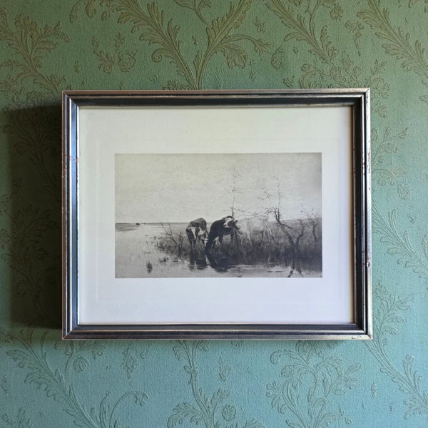 Antique Dutch Lithograph Of Cows By The Waters Edge