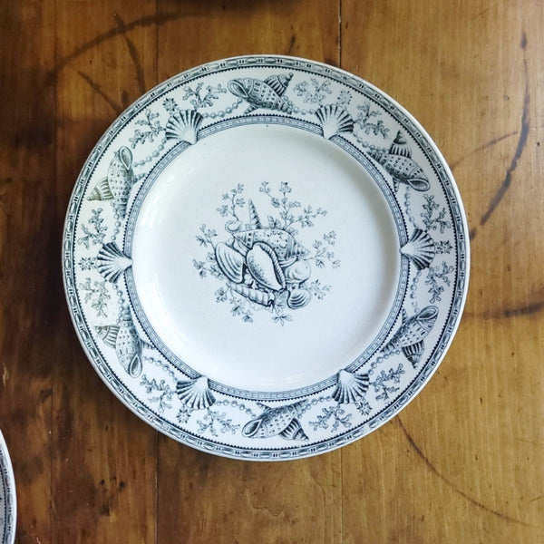 Nantasket Clovelly Transferware Seashell Plates