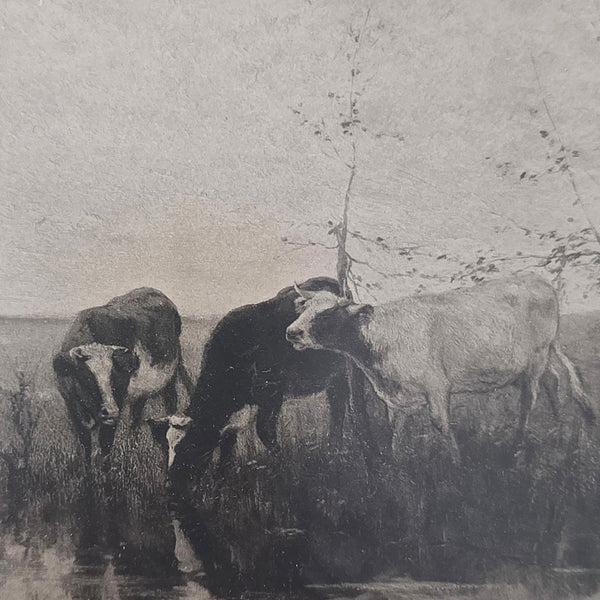 Antique Dutch Lithograph Of Cows By The Waters Edge