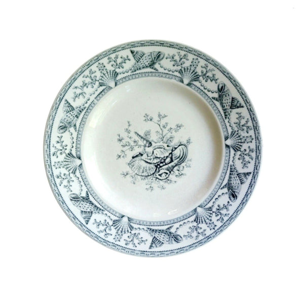 Nantasket Clovelly Transferware Seashell Plates