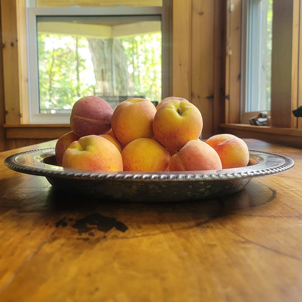 Silver Serving Bowl
