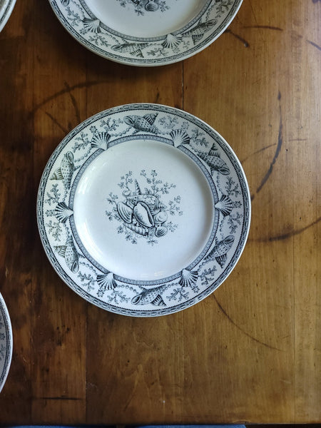 Antique Black & White Nantasket Clovelly Pattern Set Of Six Plates