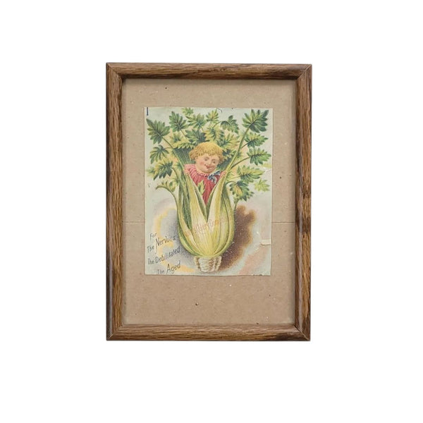 Antique Whimsical Celery Framed Trade Card