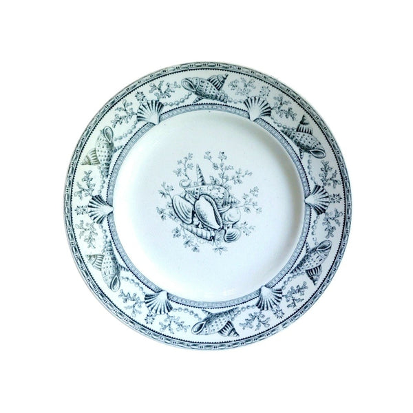 Nantasket Clovelly Transferware Seashell Plates