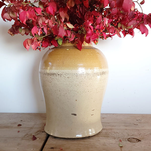 Antique English Stoneware Crocks Apothecary Jars