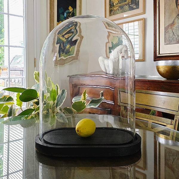 Antique Bell Jar