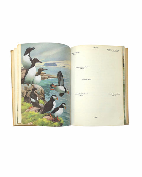 1951 Birds Of Newfoundland Hard Cover Book
